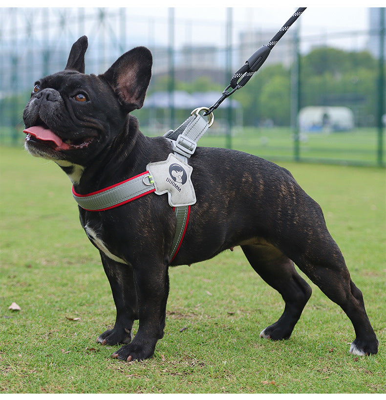 French_bulldog_harness