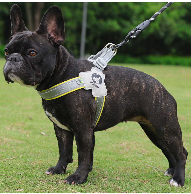 LightLatch No pull Frenchie Reflective Harness