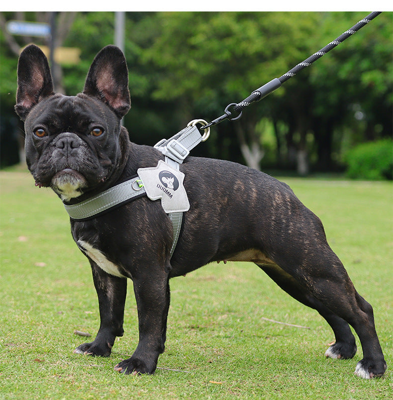 French_bulldog_harness