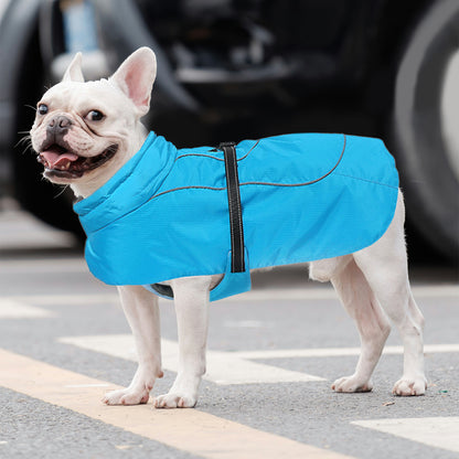 Frenchie-Belly-Fitting-Cotton-Jacket Cozy-and-Comfortable-www.frenchie.shop