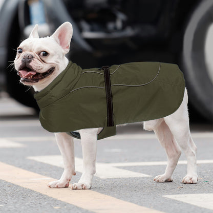 Frenchie-Belly-Fitting-Cotton-Jacket Cozy-and-Comfortable-www.frenchie.shop