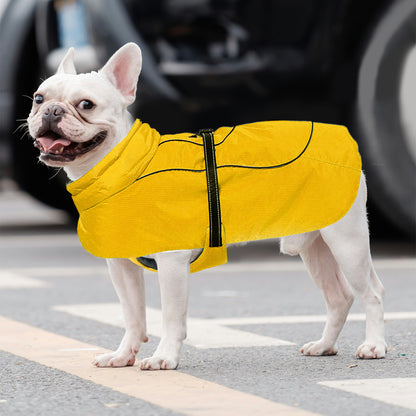 Frenchie-Belly-Fitting-Cotton-Jacket Cozy-and-Comfortable-www.frenchie.shop