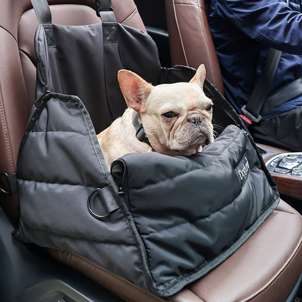 Frenchie car cheap seat