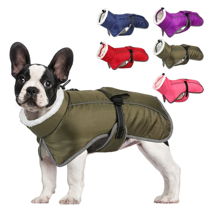 French-Bulldog-Reflective-Coat-with-Adjustable-Buckle-and-Fleece-Turtleneck-www.frenchie.shop