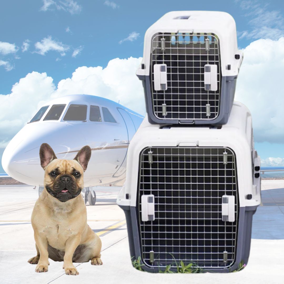 BatNest-French-Bulldog-Crate-www.frenchie.shop