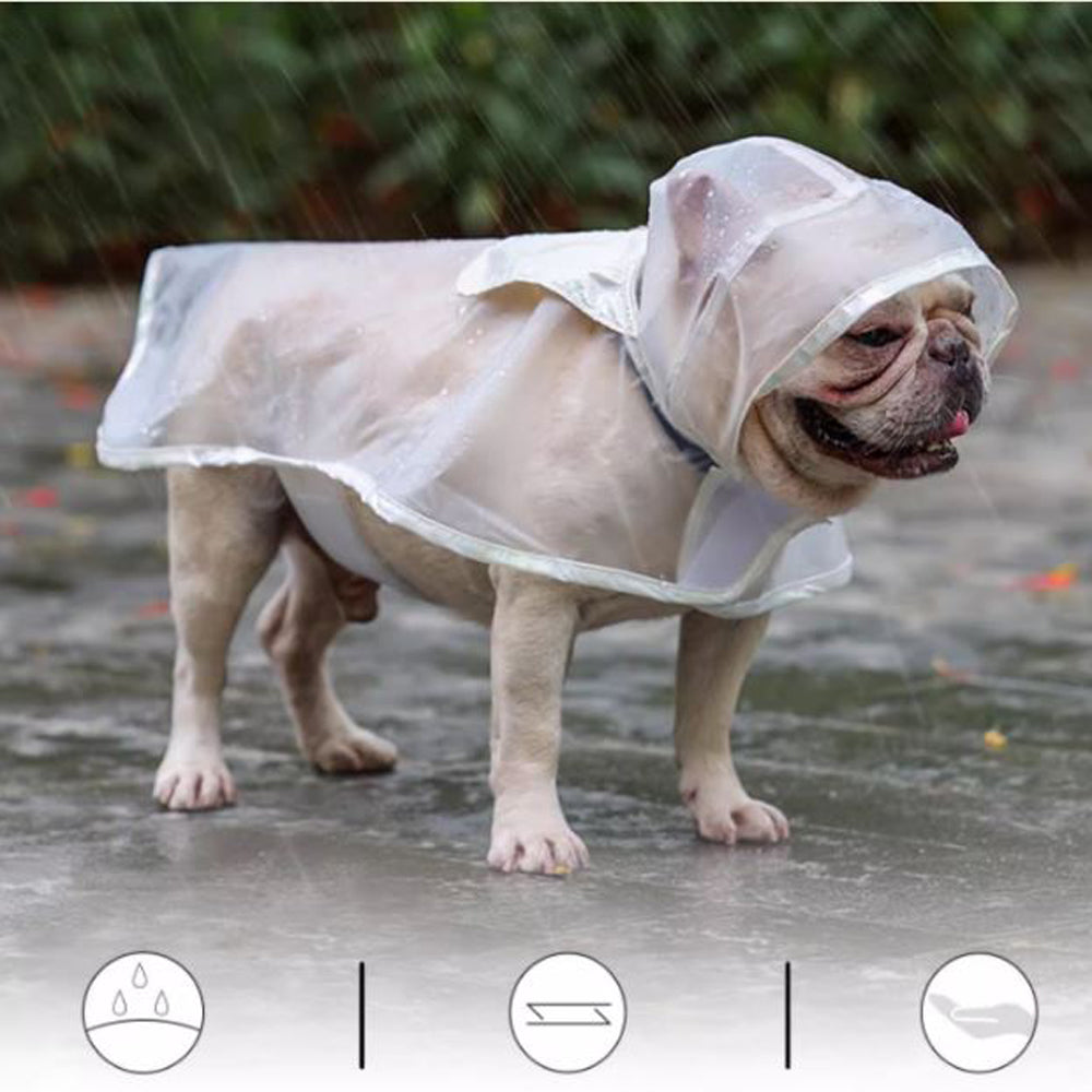 Frenchie-raincoat-www.frenchie.shop