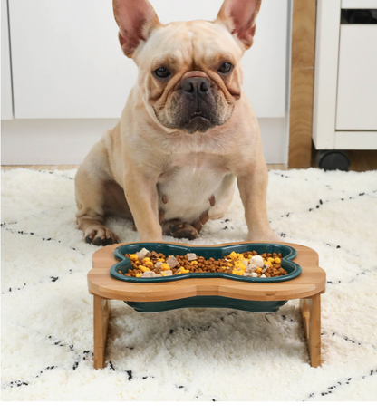 BoneSecure-Frenchie-Bowl-Anti-Overturning-Ceramic-Bowl-in-Bone-Shape-www.frenchie.shop