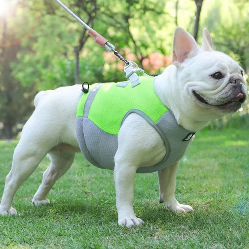 Frenchie Summer Reflective Cooling Vest frenchie Shop
