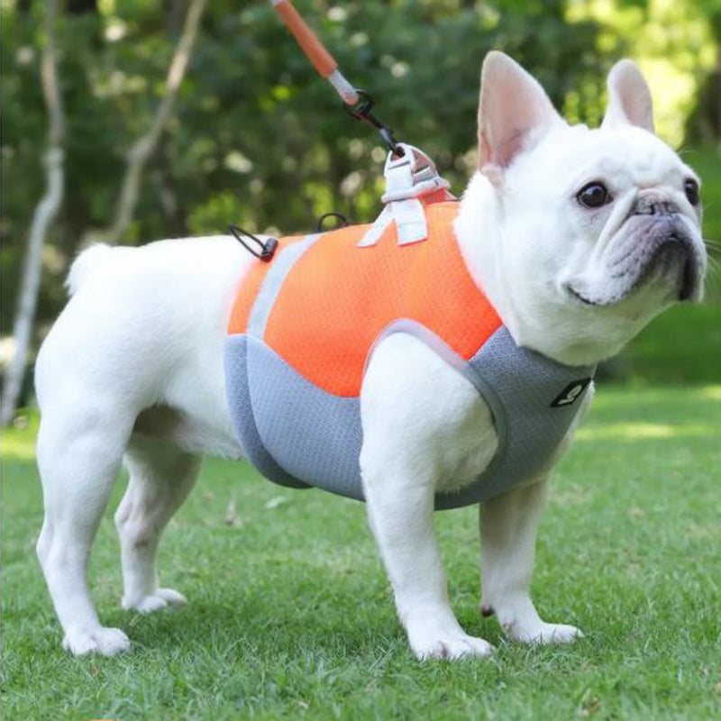 Cooling harness for outlet french bulldog