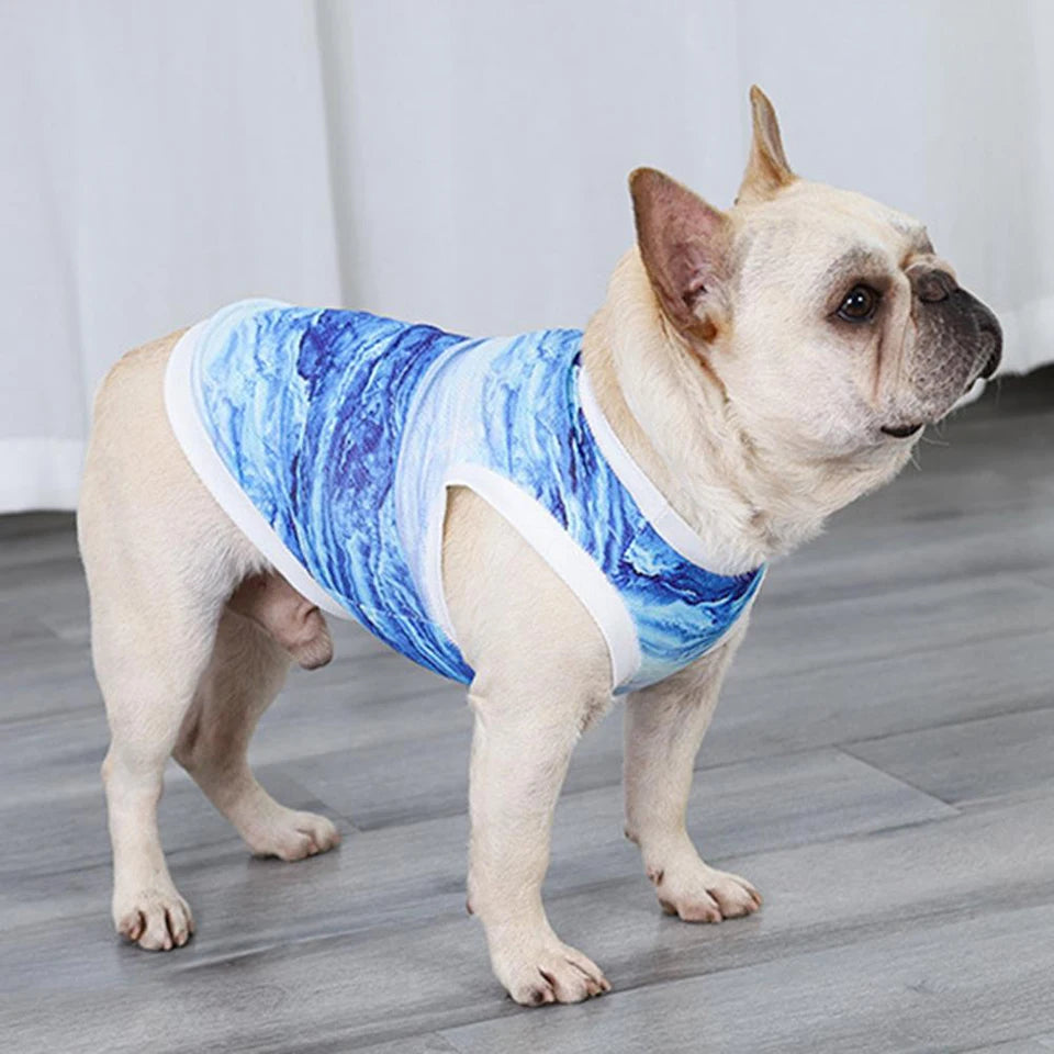 Frenchie cooling vest hotsell