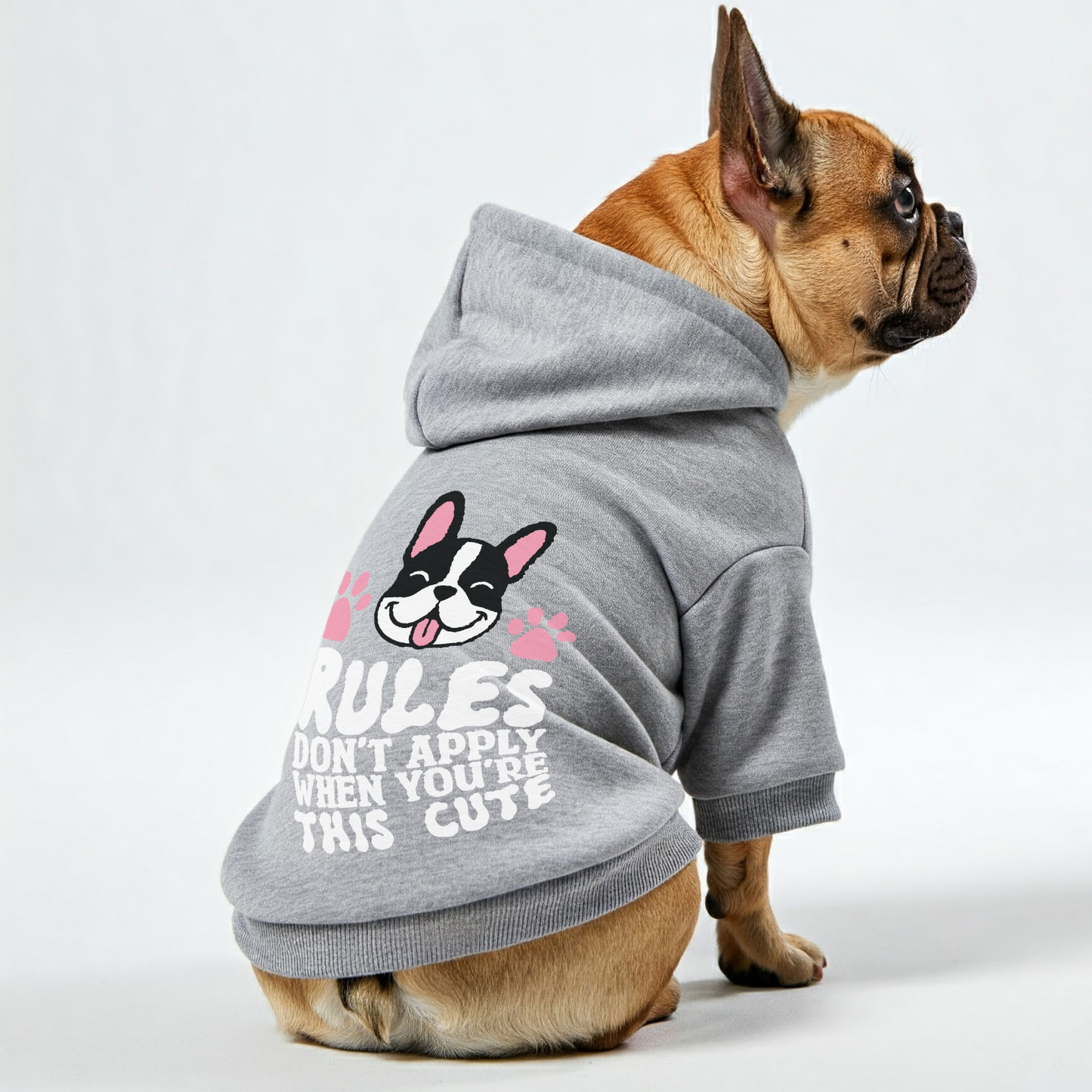 Rules don’t apply when you’re this cute - Personalized French Bulldog Hoodies with Funny Quotes – Stylish, Cozy, and Premium 100% Cotton