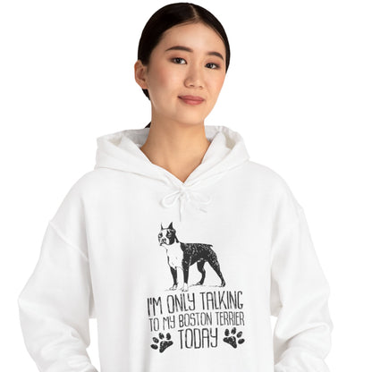 Bullet  - Unisex Hoodie for Boston Terrier lovers