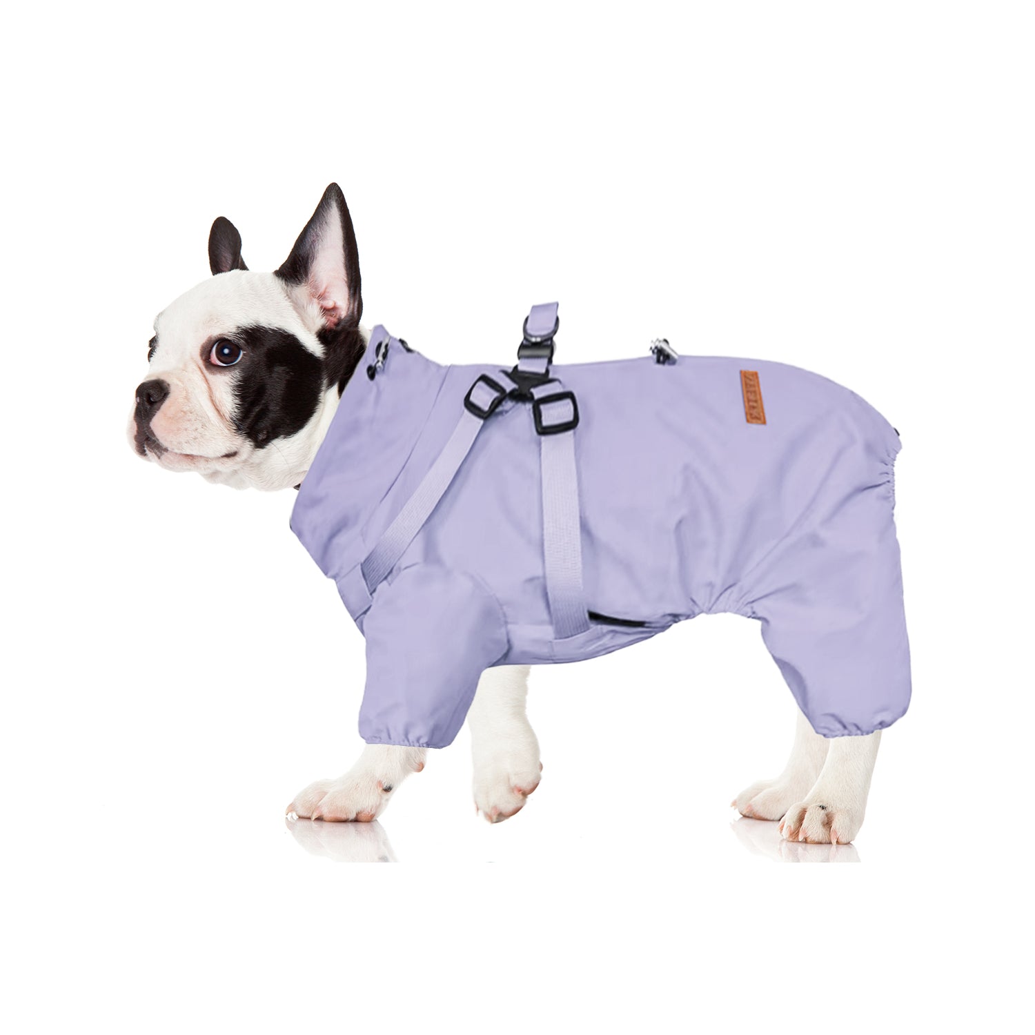 HydroHug-Frenchie-Raincoat-with-Built-in-Harness-Waterproof-Reflective-All-in-One-Dog-Jacket-www.frenchie.shop