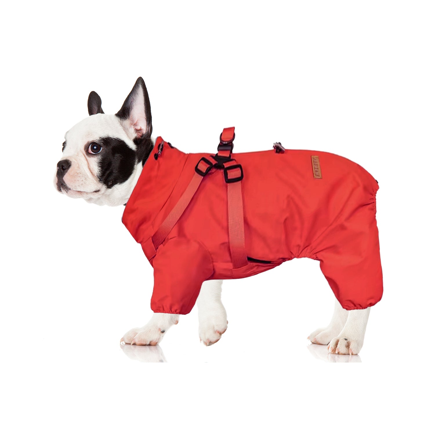 HydroHug-Frenchie-Raincoat-with-Built-in-Harness-Waterproof-Reflective-All-in-One-Dog-Jacket-www.frenchie.shop