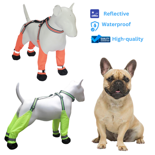 LumiPaws-Frenchie-Refective-Shoes-Claw-Protector-Waterproof-www.frenchie.shop