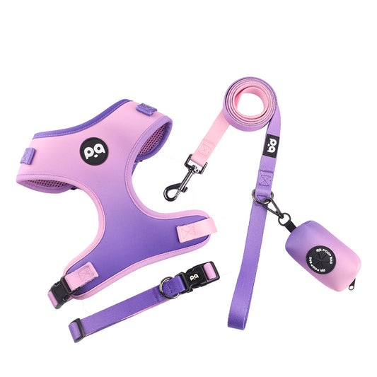 LeashLab Adjustable Frenchie Harness and Leash Set