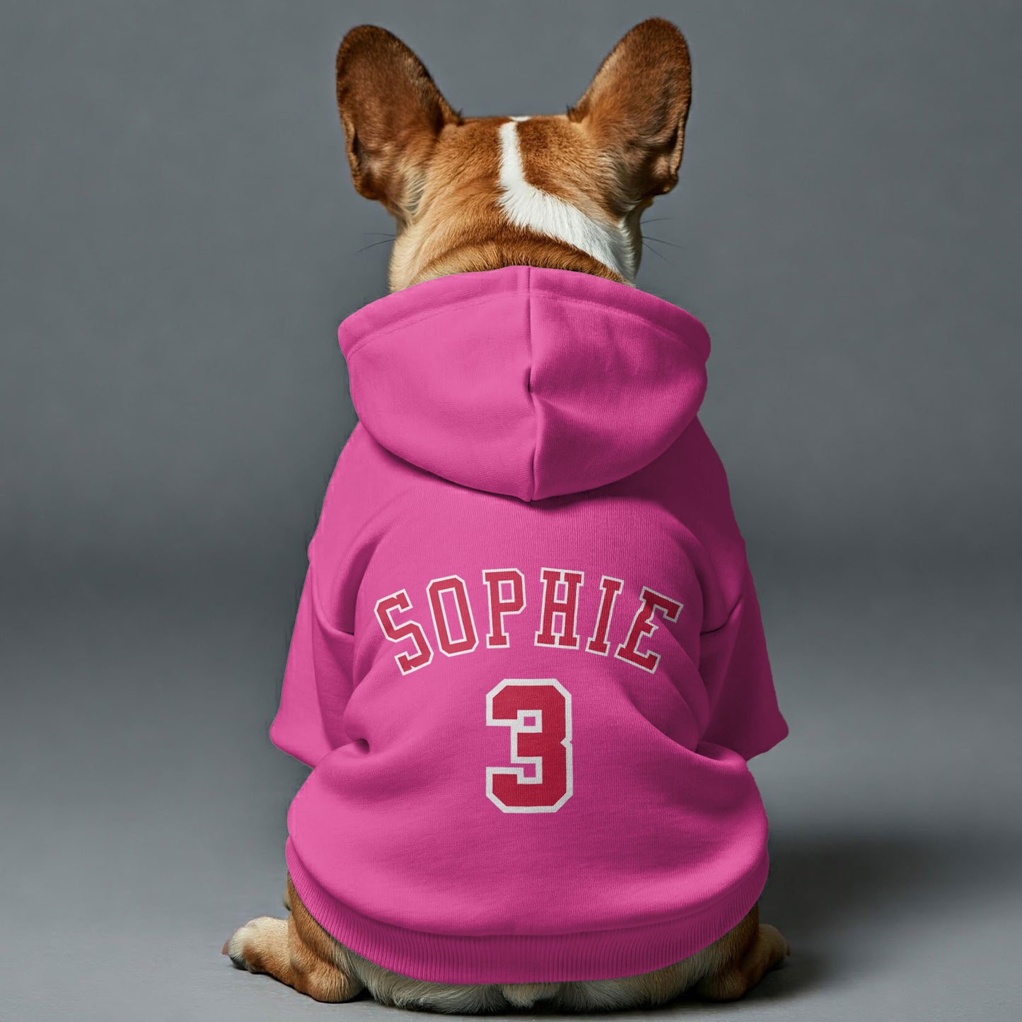 Personalized French Bulldog Hoodies with Custom Name and Number – Stylish, Cozy, and Premium 100% Cotton