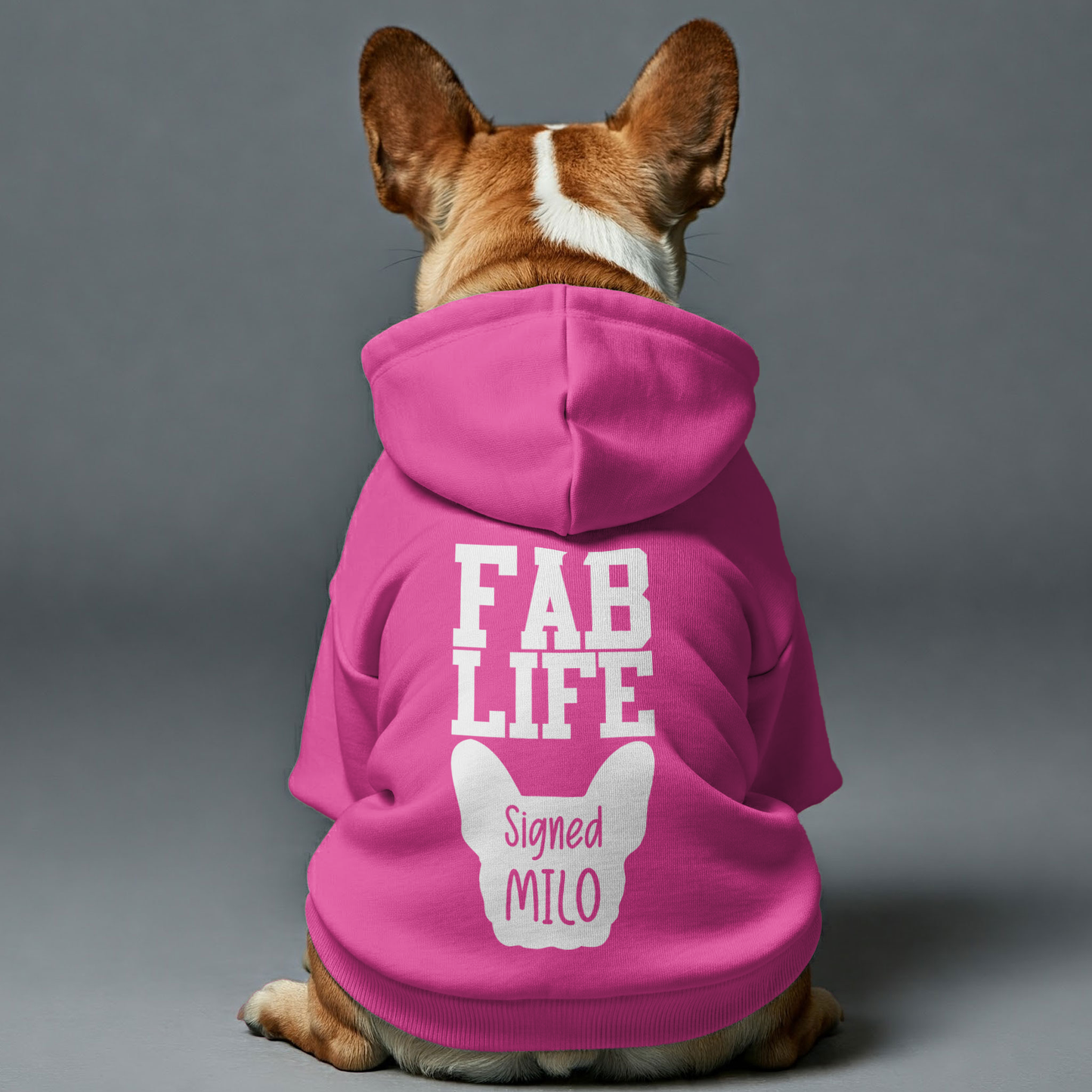 Personalized French Bulldog Hoodies with Funny Quotes and Custom Name – Stylish, Cozy, and Premium 100% Cotton