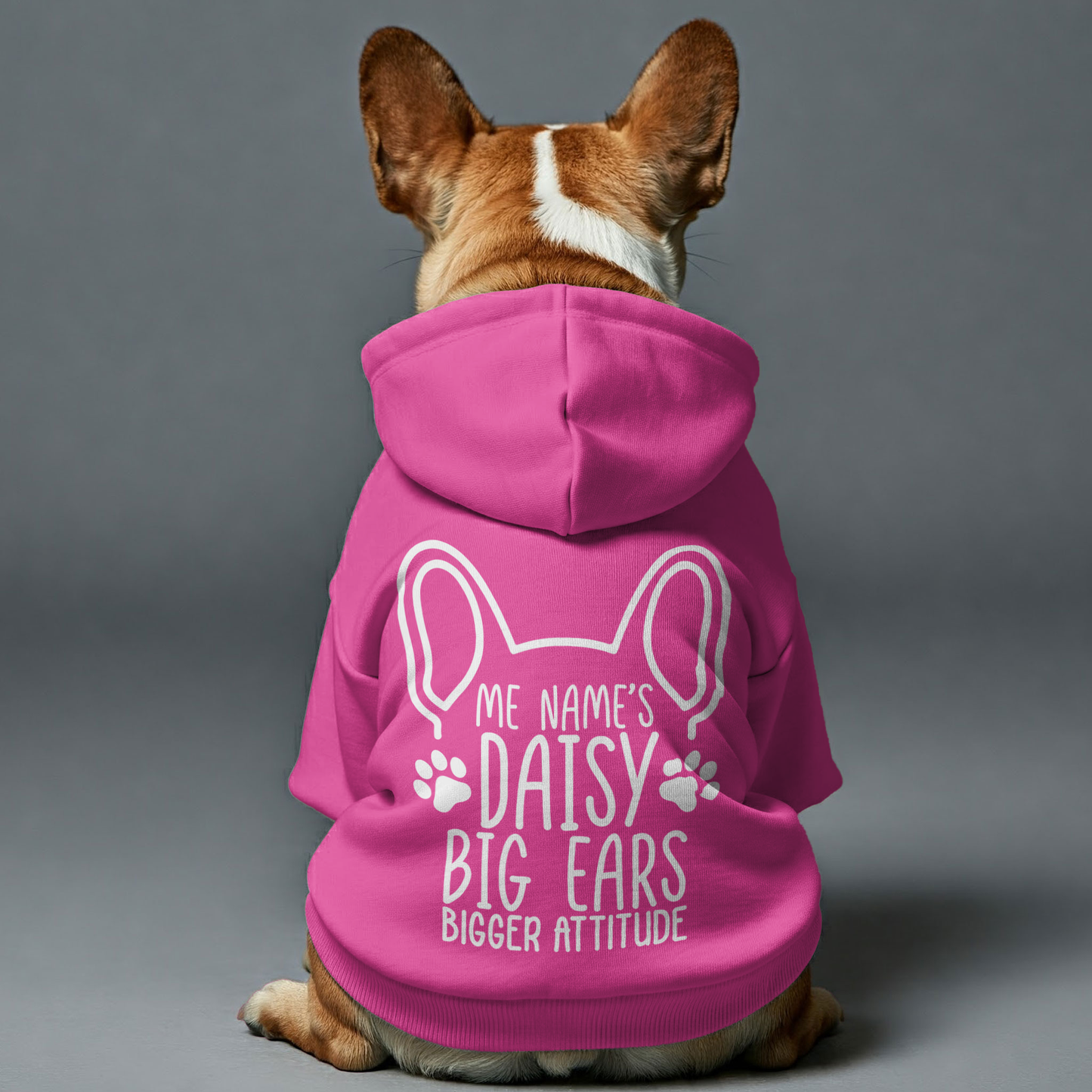 Personalized French Bulldog Hoodies with Funny Quotes and Custom Name – Stylish, Cozy, and Premium 100% Cotton