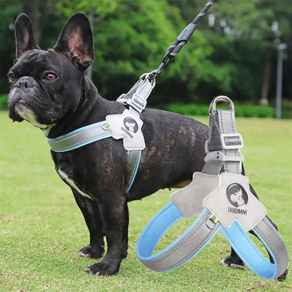 LightLatch No pull Frenchie Reflective Harness - Frenchie Bulldog Shop