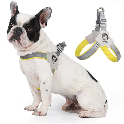 LightLatch No pull Frenchie Reflective Harness - Frenchie Bulldog Shop