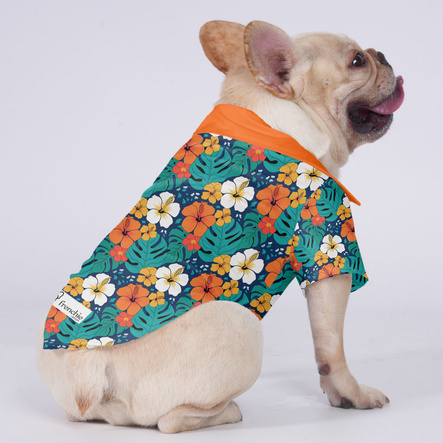 Gracie - Hawaiian Shirt for Frenchies