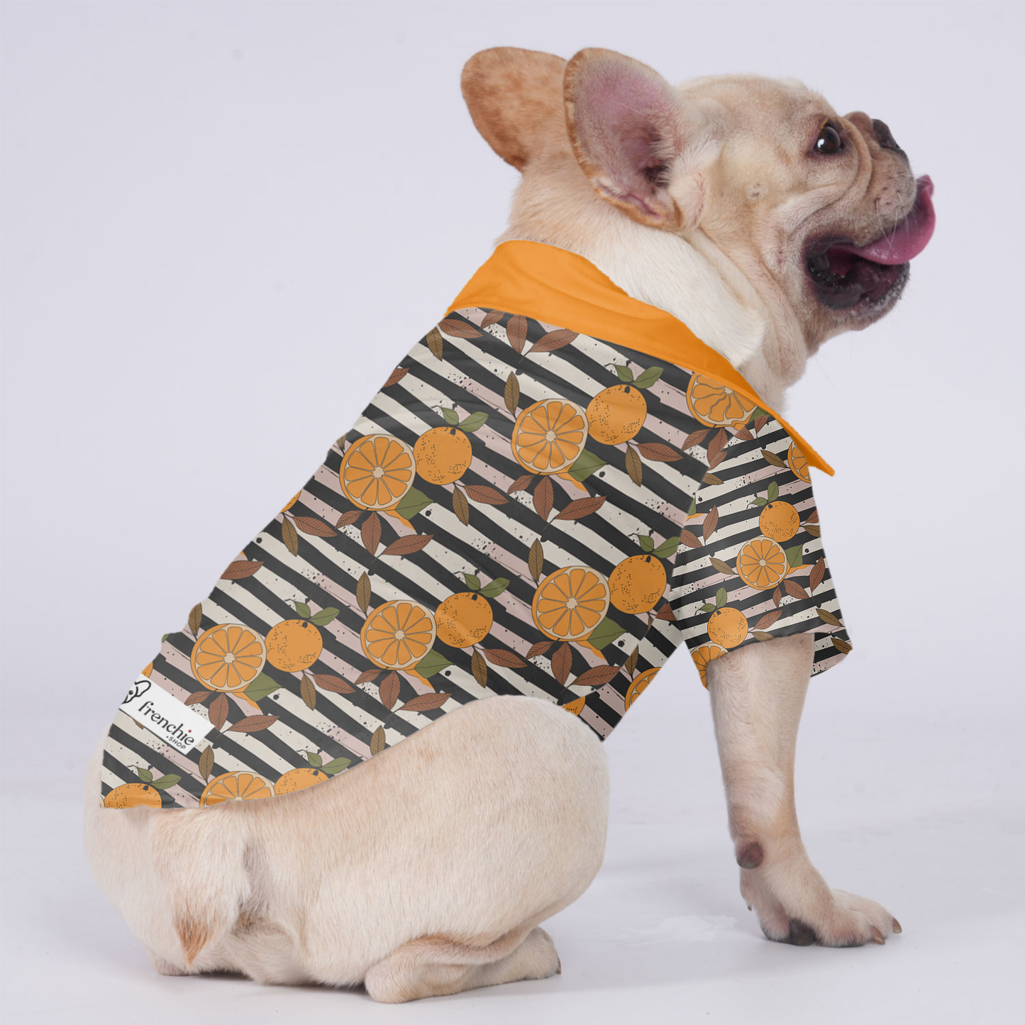 Bruno - Hawaiian Shirt for Frenchies