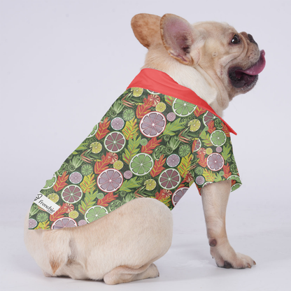 Loki - Hawaiian Shirt for Frenchies