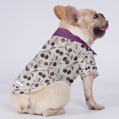 Louie - Hawaiian Shirt for Frenchies