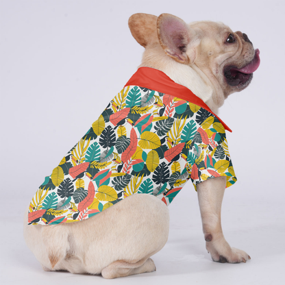 Koda - Hawaiian Shirt for Frenchies