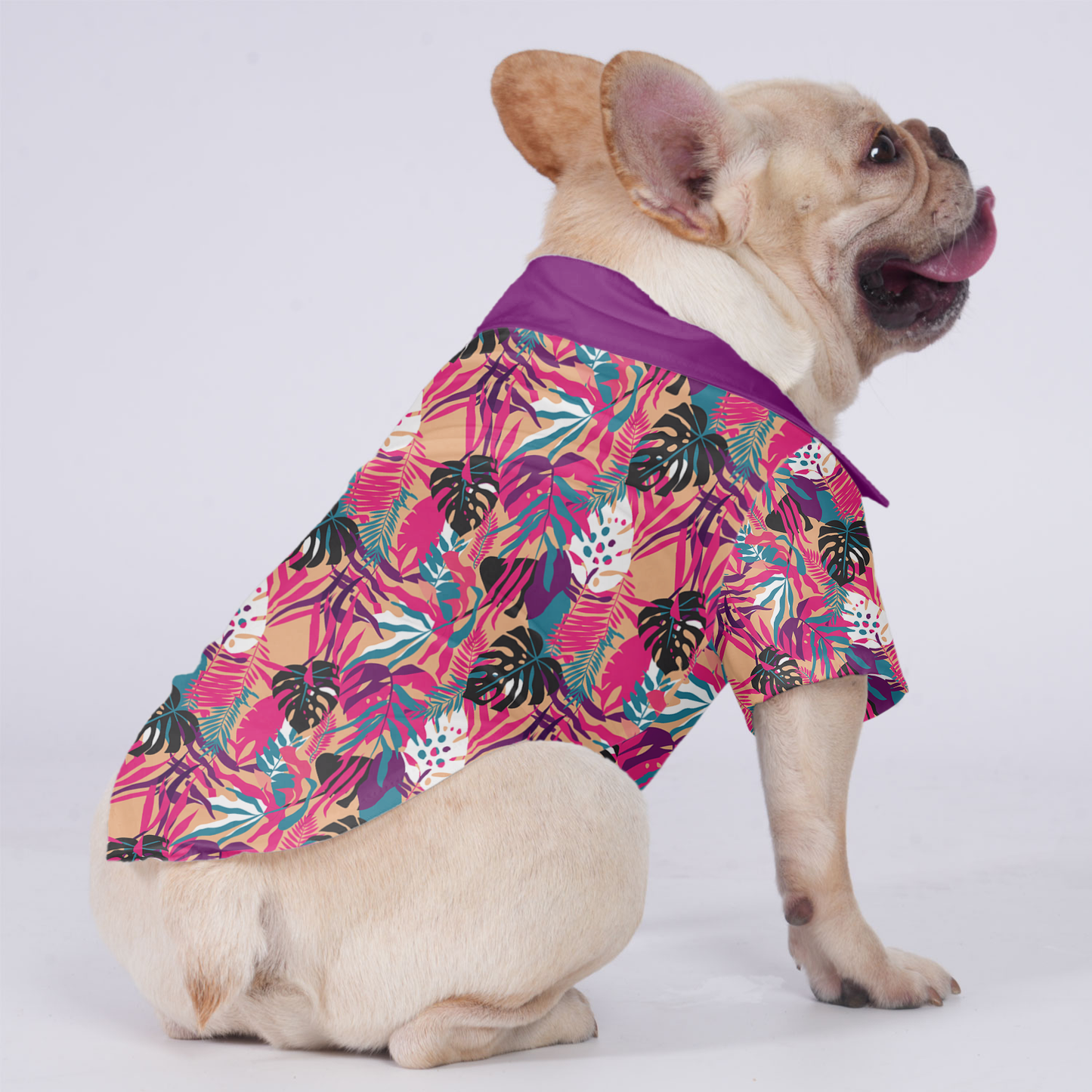 Lulu - Hawaiian Shirt for Frenchies