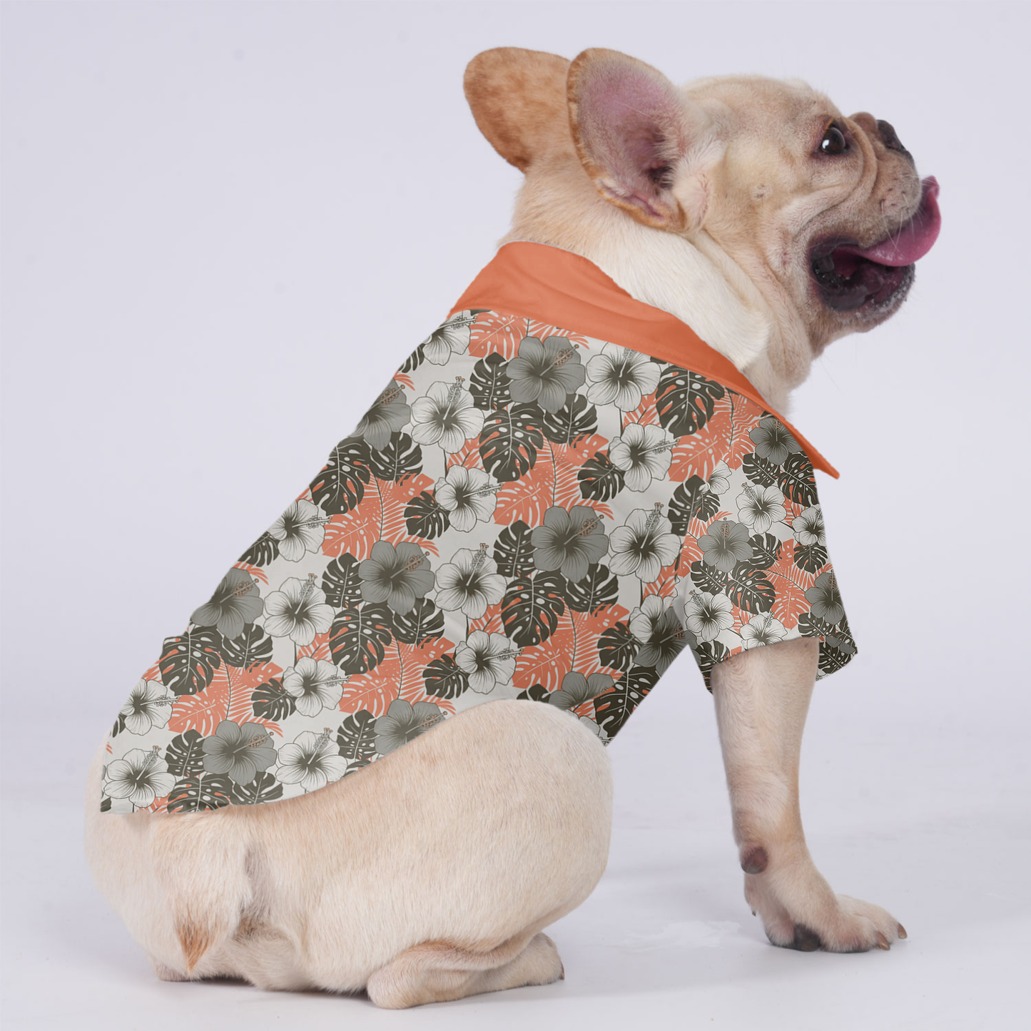 Millie - Hawaiian Shirt for Frenchies