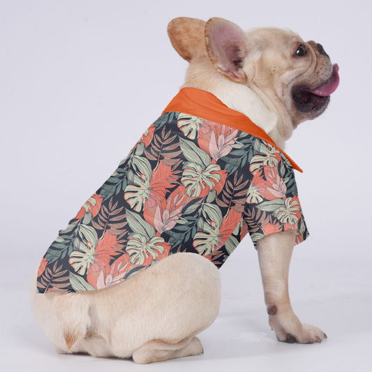 Apollo - Hawaiian Shirt for Frenchies