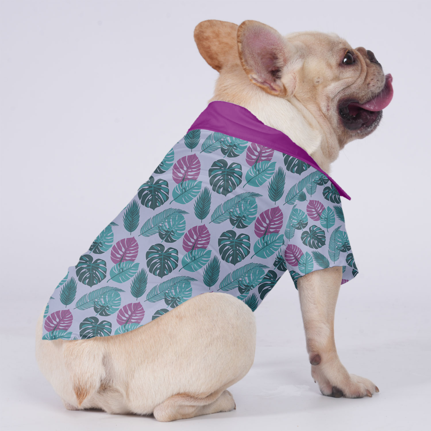 Beau - Hawaiian Shirt for Frenchies