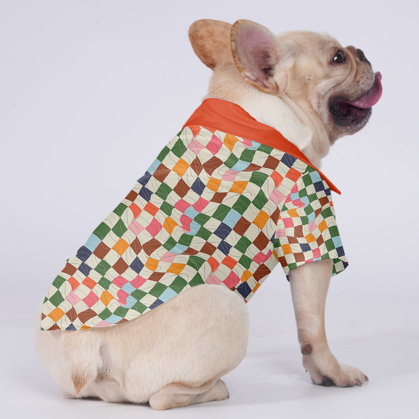 Poppy - Hawaiian Shirt for Frenchies