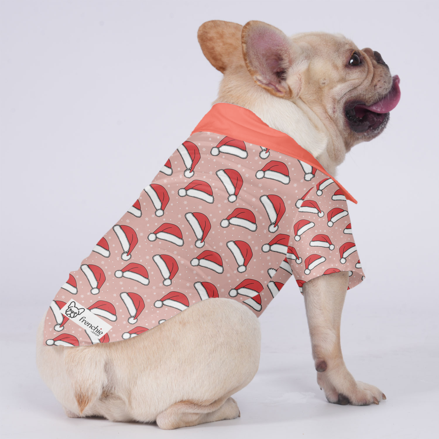 Ollie - Hawaiian Shirt for Frenchies