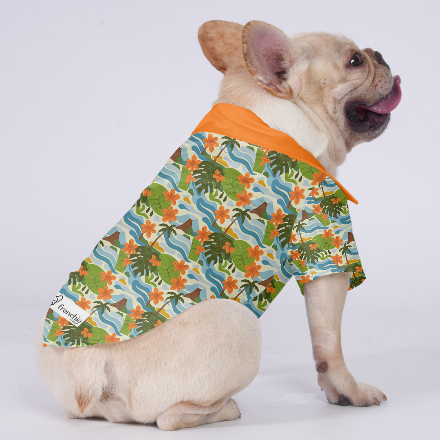 Nala - Hawaiian Shirt for Frenchies