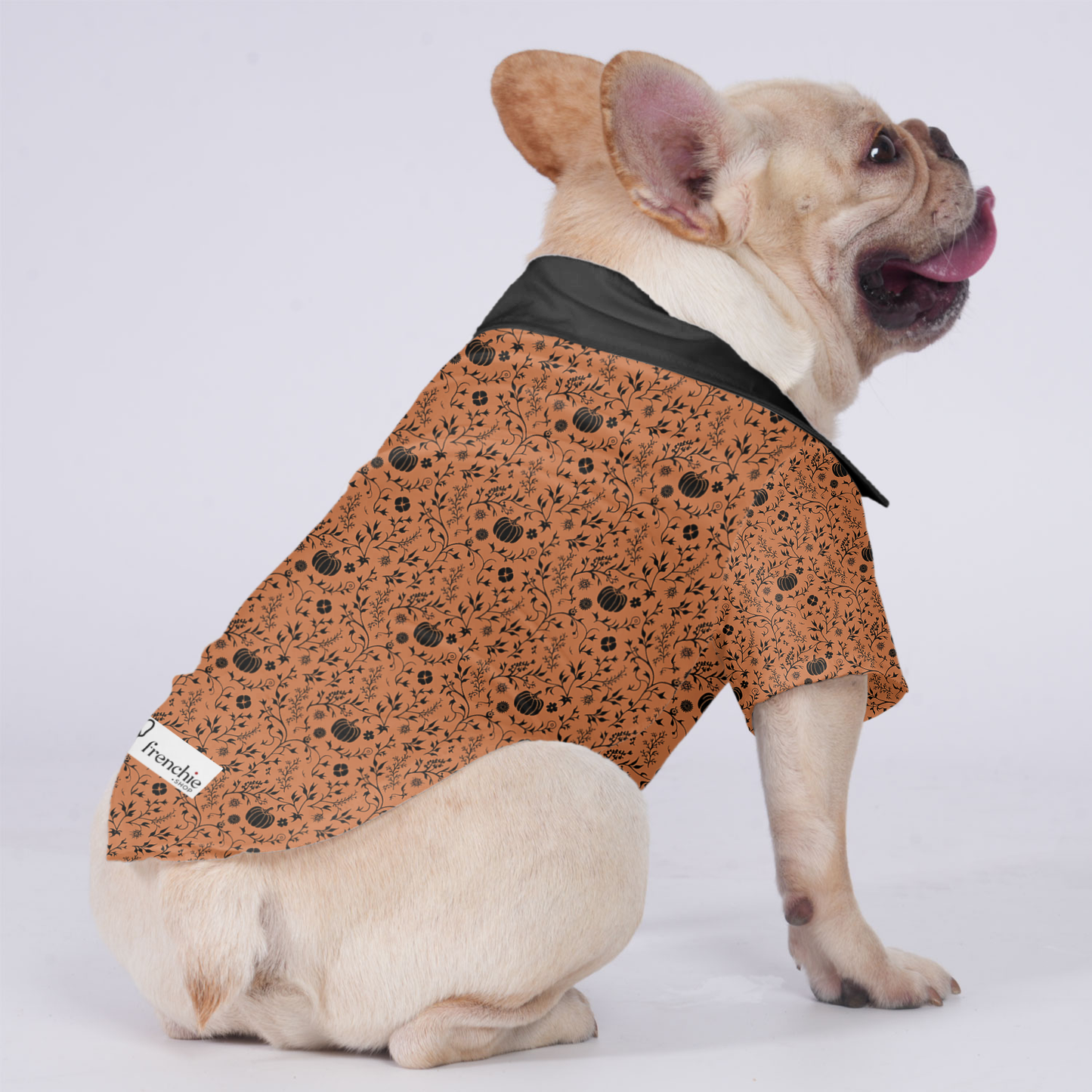 Rocky - Hawaiian Shirt for Frenchies