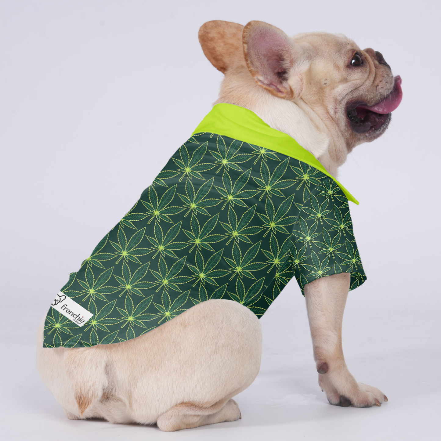 Willow - Hawaiian Shirt for Frenchies