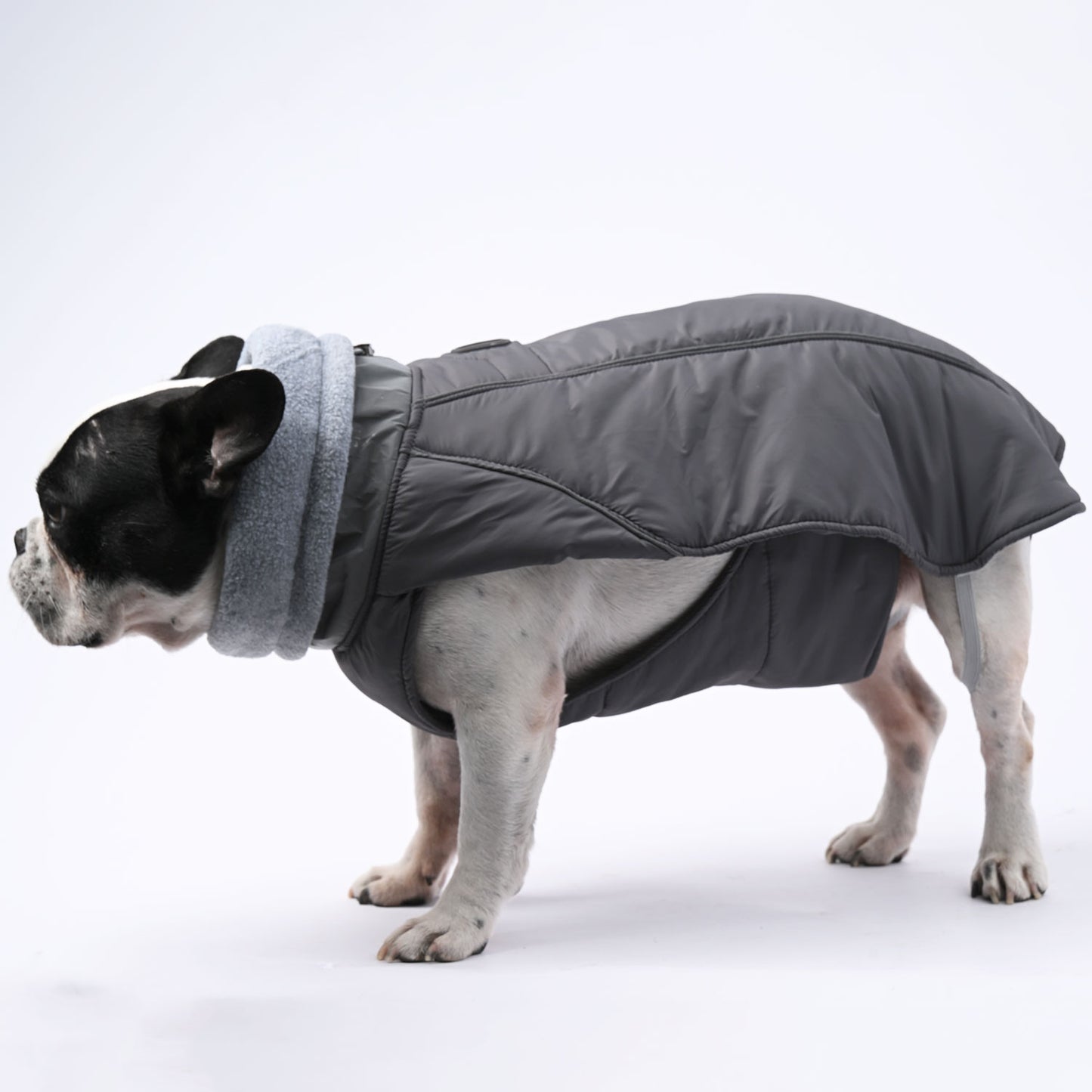 RoyalPup Frenchie Luxury Winter Jacket