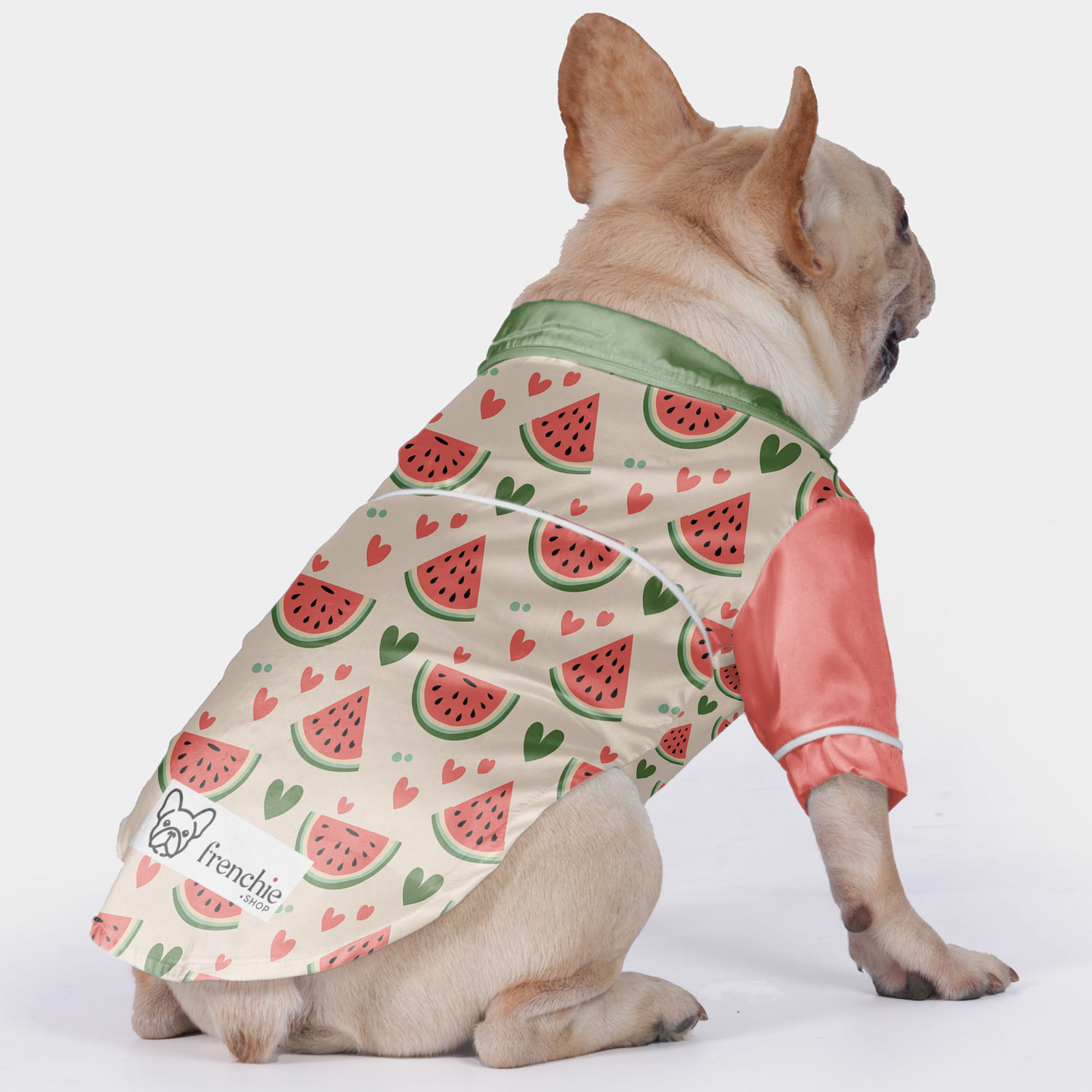 Rocky - Pajamas for French bulldog