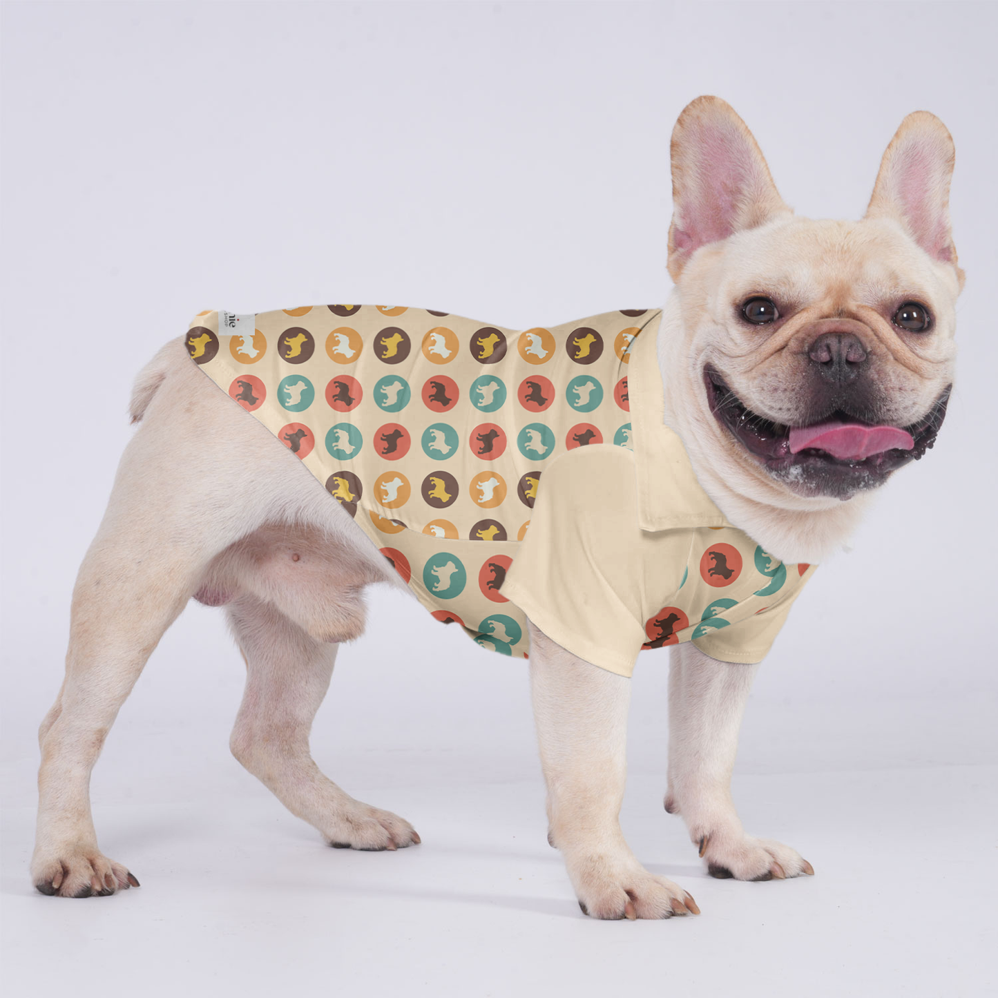 Milo - Hawaiian Shirt for Frenchies