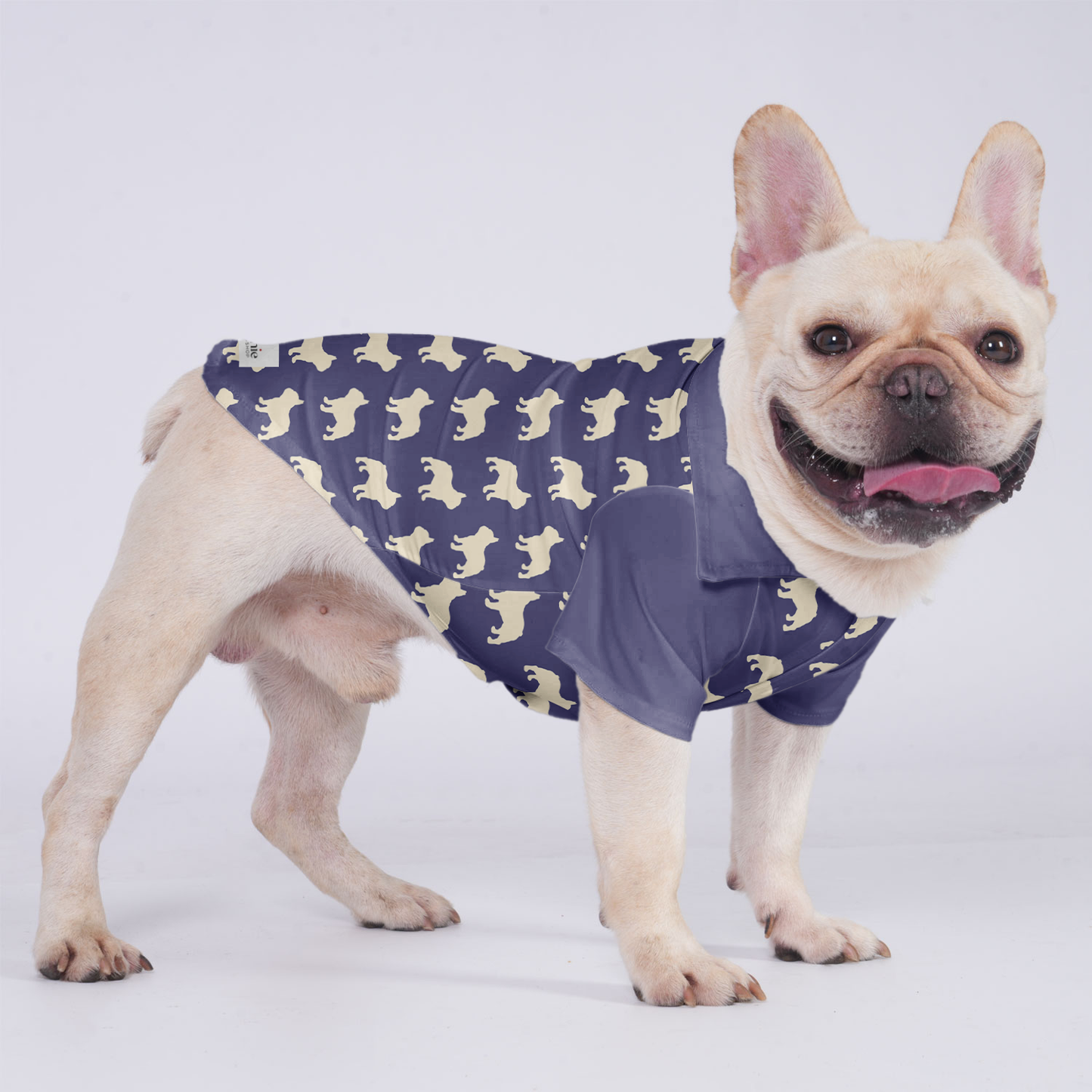 Nelly - Hawaiian Shirt for Frenchies