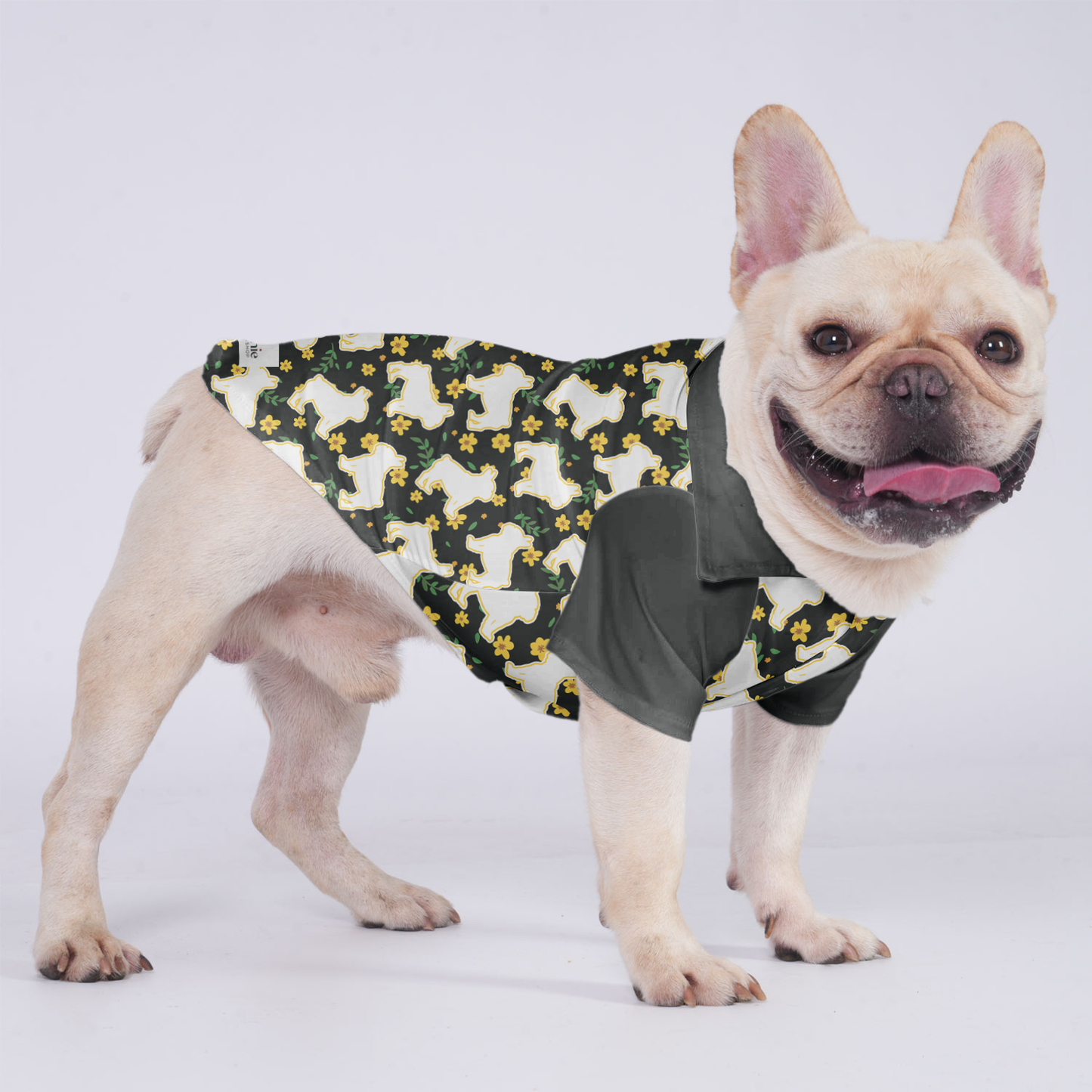 Tyler - Hawaiian Shirt for Frenchies