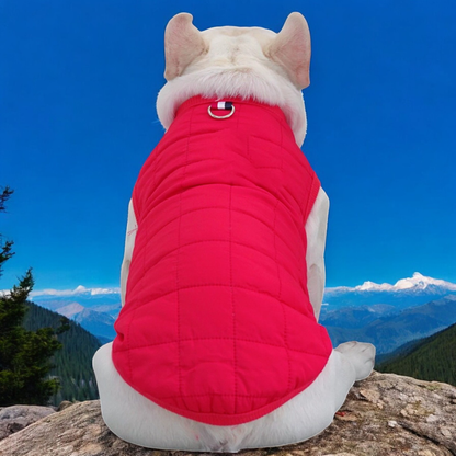 The Dog Face -  Frenchie Vest Jacket