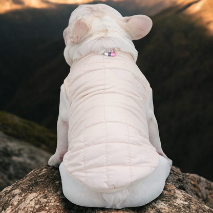 The Dog Face -  Frenchie Vest Jacket