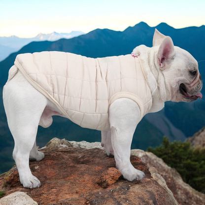 The Dog Face -  Frenchie Vest Jacket