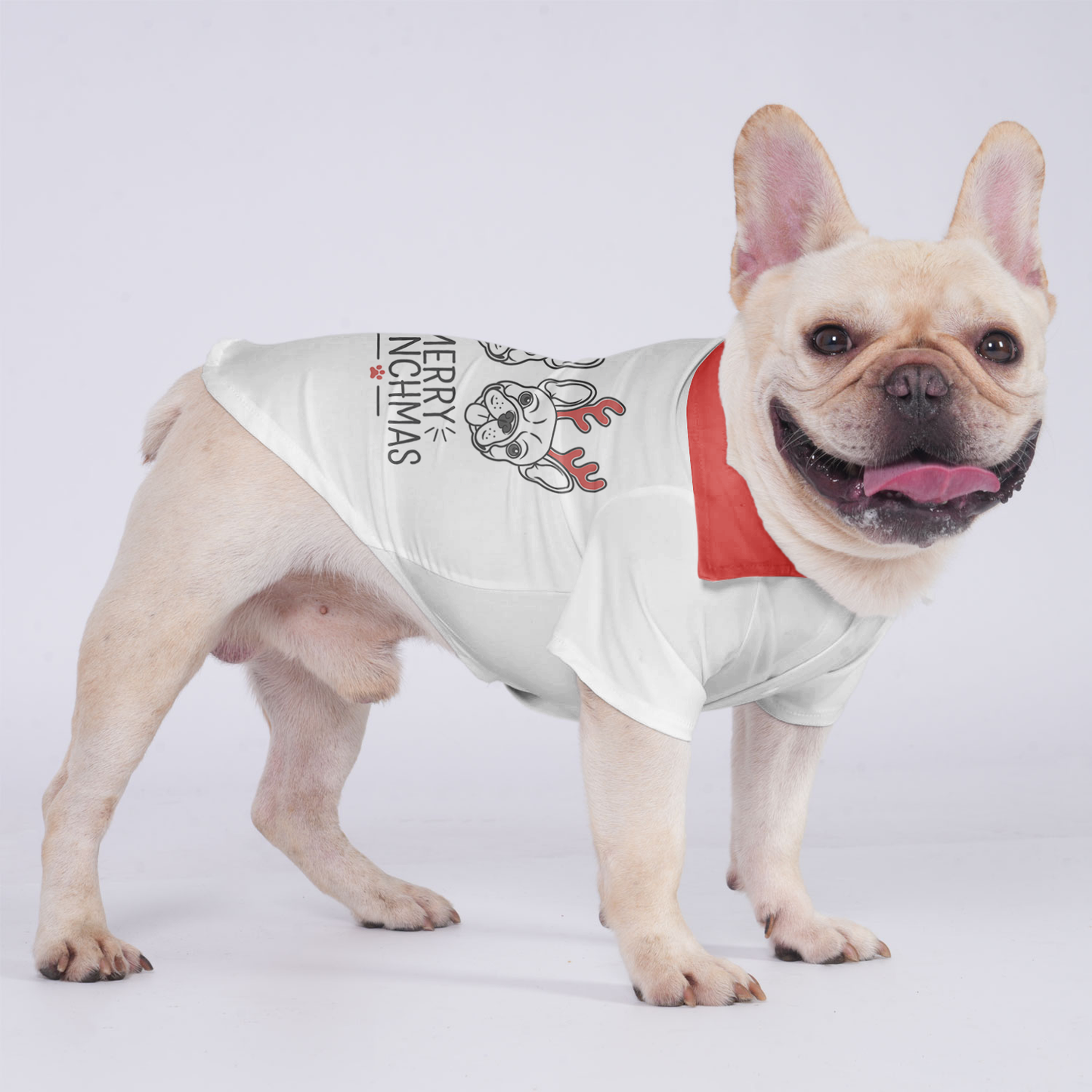 Ace - Hawaiian Shirt for Frenchies