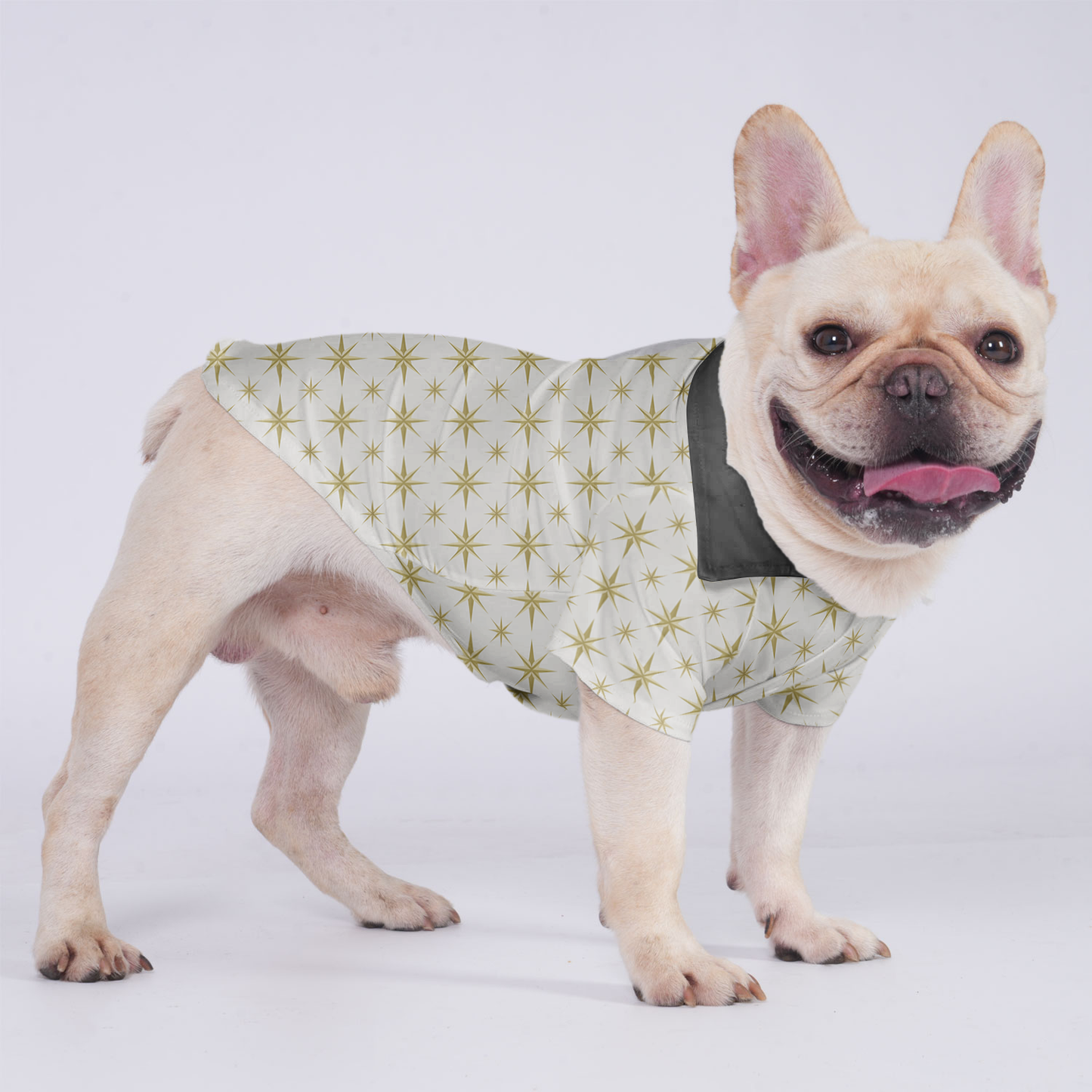 Melo - Hawaiian Shirt for Frenchies