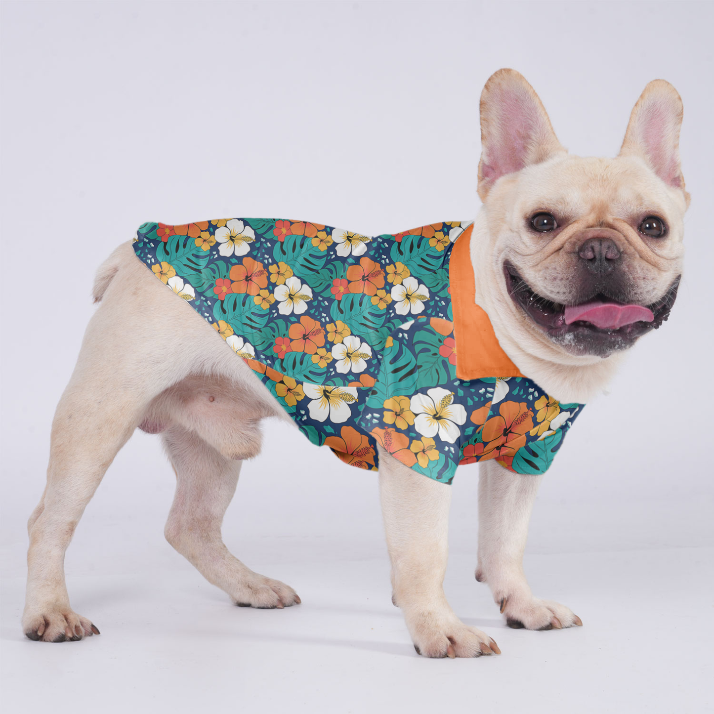 Gracie - Hawaiian Shirt for Frenchies